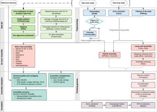 Komplexer Ablauf für Evaluierung unterschiedlicher DNA-Sequenzier- und Analysemethoden.