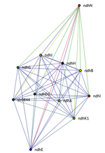 CyanoInteraction - Visualisierung von Protein-Protein- und Protein-Metabolit-Interaktionen